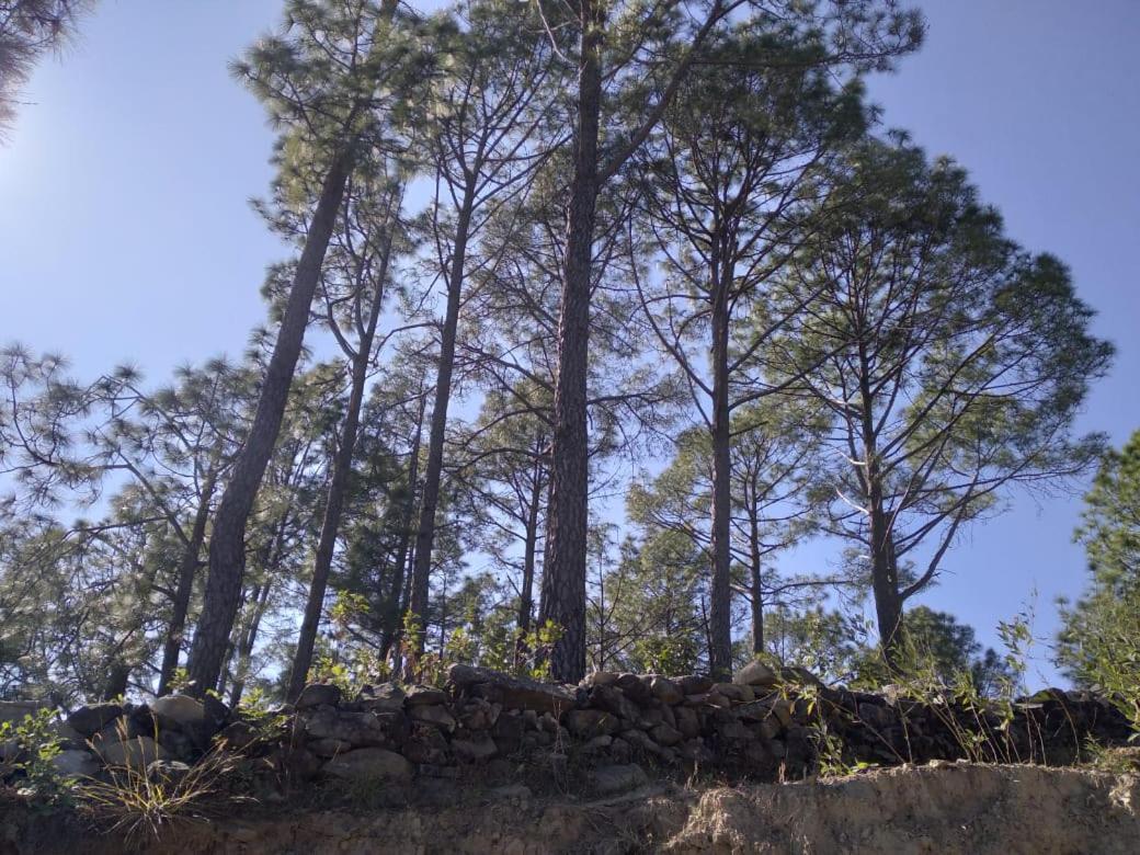 Nature Villaas Basa Homestay Pauri Extérieur photo