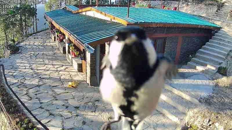 Nature Villaas Basa Homestay Pauri Extérieur photo